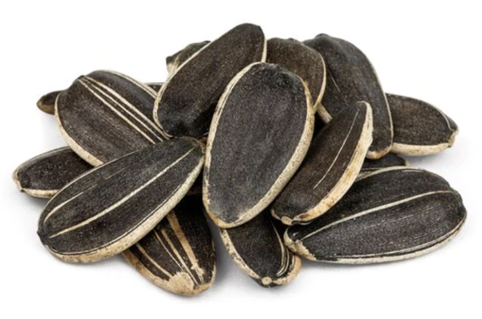 Striped Sunflower 5kg