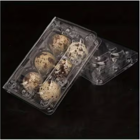 Quail Egg Trays 6's - Transparent