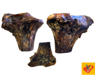 Ostrich Large Knuckle