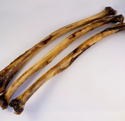[B1001BI] Ostrich Wing Bone Full