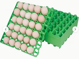 HEAVY DUTY PLASTIC EGGS TRAY 30'S