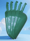 Feed Scoop