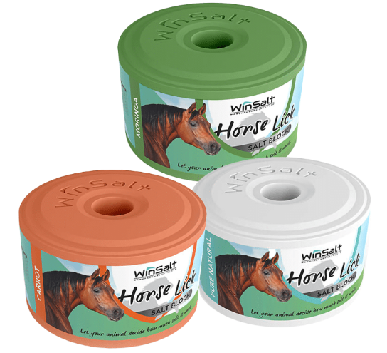 Equine Salt Block Carrot 2kg