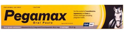 Pegamax Paste 32.4g