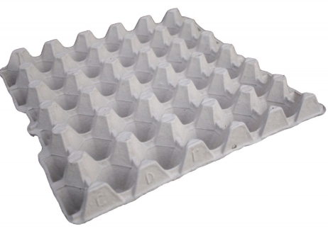 Egg Trays 30's New