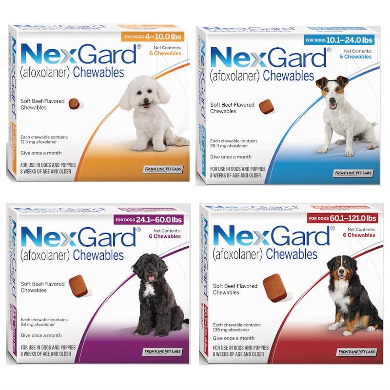 NexGard 2-4Kg 1's