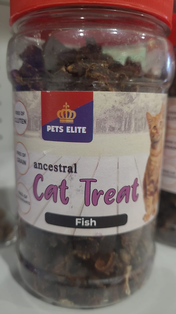 Cat Treat Fish