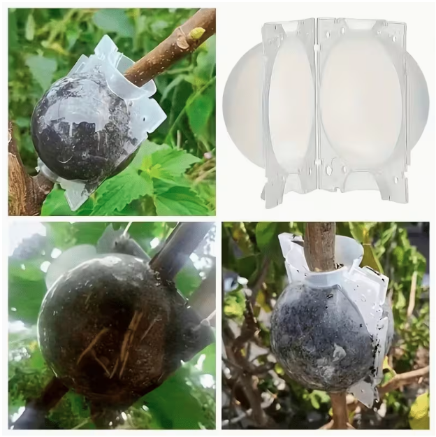 Plant Propagation Kit (Small)