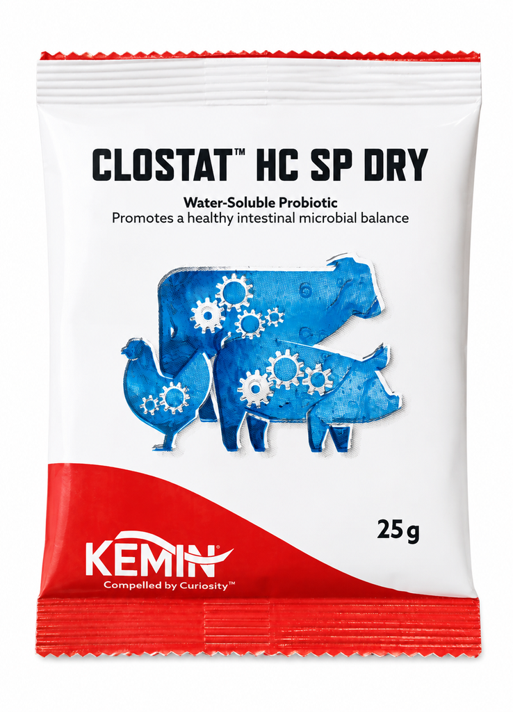 Clostat HC SP Dry (25g sachet)