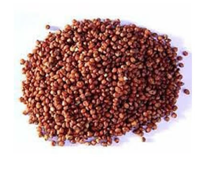 Red Sorghum 1kg