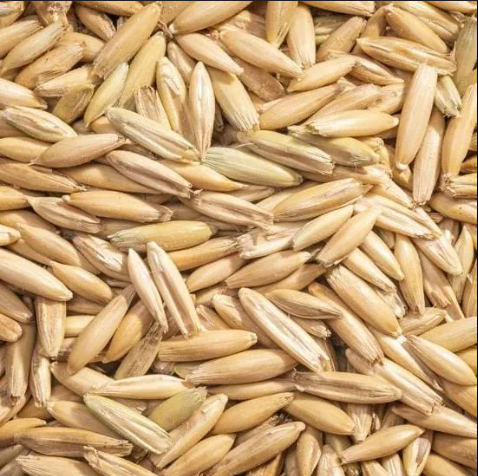 Feed Oats 1kg