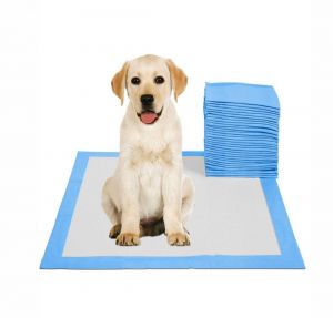 Puppy Training Pads 10's