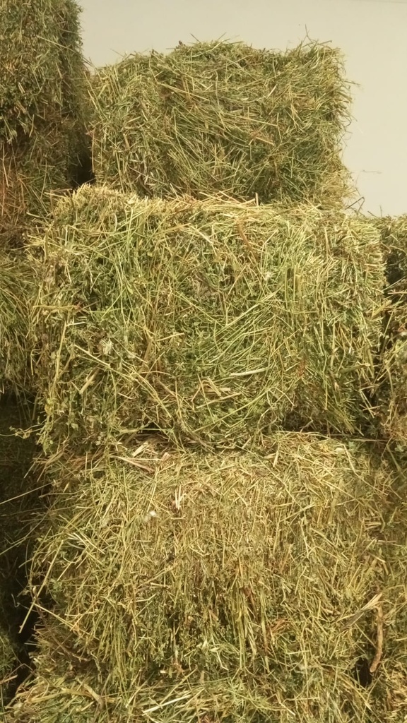 Lucerne Bales