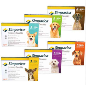 Simparica for Dogs 40-60kg (Chocolate) 1's