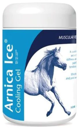 Arnica Ice cooling Gel 475g