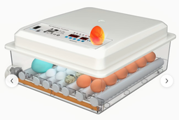 INCUBATOR 16 EGGS