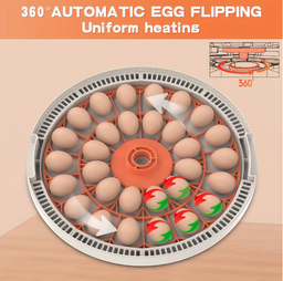 INCUBATOR 30 EGGS