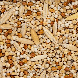 Budgie Seed 5kg