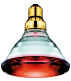 Infrared Globe 175W [PHILLIPS]